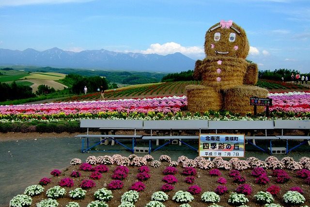 ทัวร์ 1 วัน ฮอกไกโด : TJT-COB-E Tomita Farm, Shikisai no Oka, Blue Pond