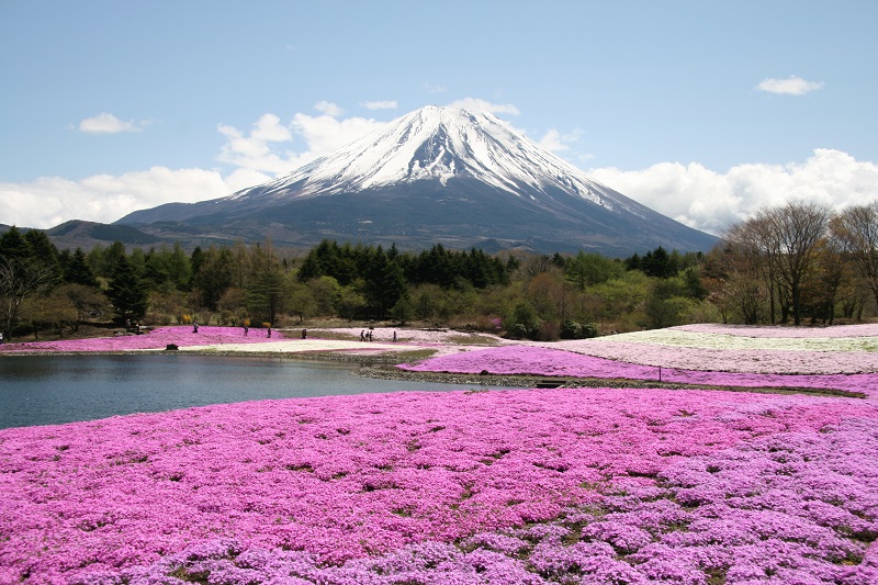 Mt. Fuji